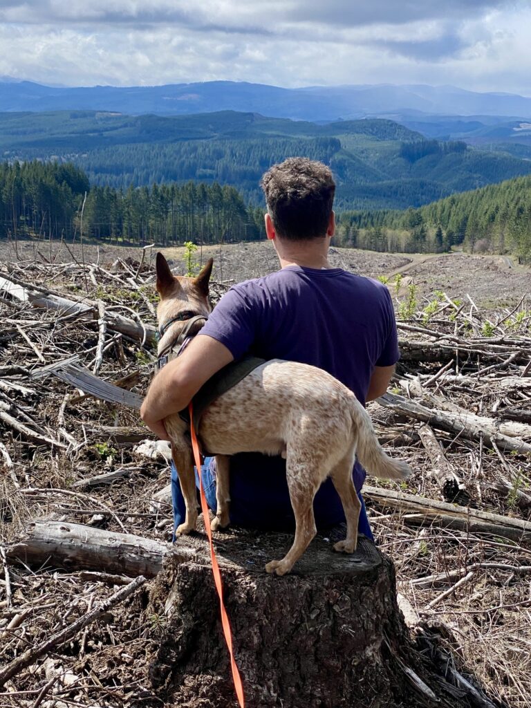 Nick DeMayo, LMFT Teen Counselor Therapist for Adolescent Boys in Portland, OR - Mountain Picture